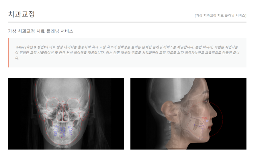 이미지명